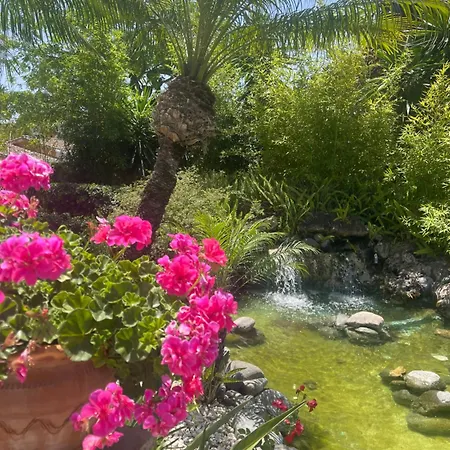 Lejlighed Beachfront Escape *