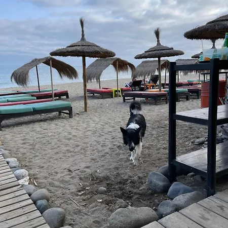 Beachfront Escape 아파트 *